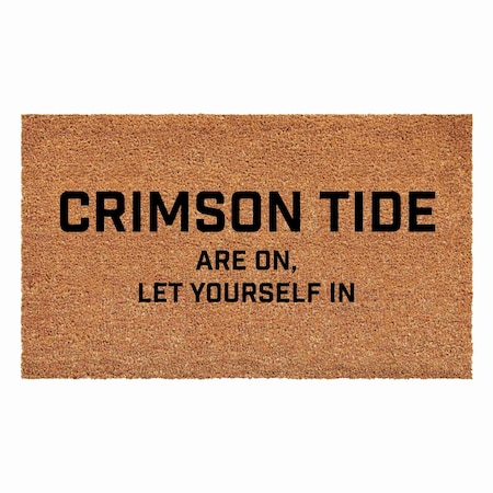 Calloway Mills Doormat, Coir/Vinyl, 17 in W x 29 in L 111811729